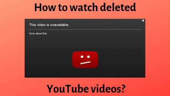 How to watch deleted YouTube videos: the most effective methods