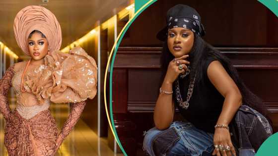 “New cat of Nollywood”: BBNaija’s Phyna celebrates online after A-list actor called to praise her