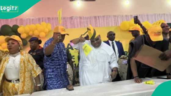 Zaben 2026: Gwamna Adeleke ya samu tikitin takara bayan ya fice daga jam'iyyar PDP