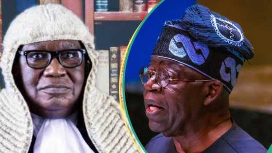 Fact Check: Justice Tsammani asked Nigerians to forgive Tinubu for his ‘drug crime’?