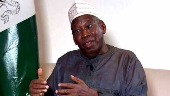 Zaben kananan hukumomi: Ganduje ya bada umurnin a yi wa 'yan takara gwajin kwayoyi