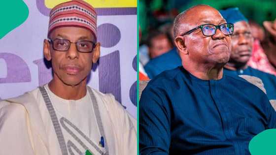 2027 elections: 'What Peter Obi needs to emerge as ADC presidential candidate', Baba-Ahmed explains
