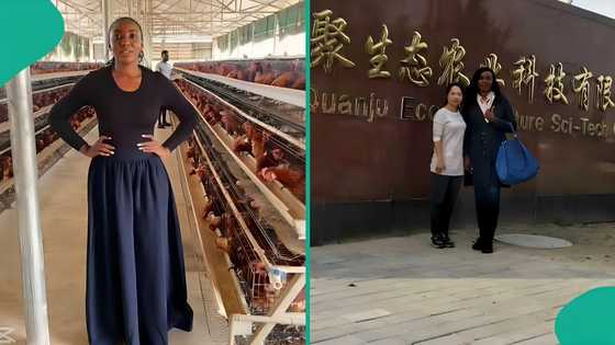 Nigerian woman shares Chinese man's response after learning about Nigeria's electricity problem