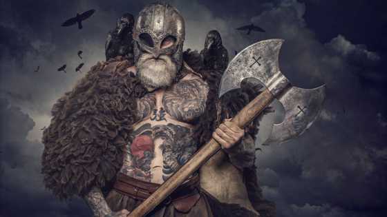 Voici Odin : le roi des Dieux de la mythologie nordique