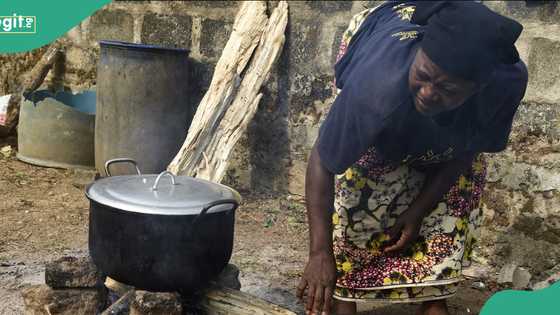 Abuja residents turn to firewood, charcoal as cooking gas price soars