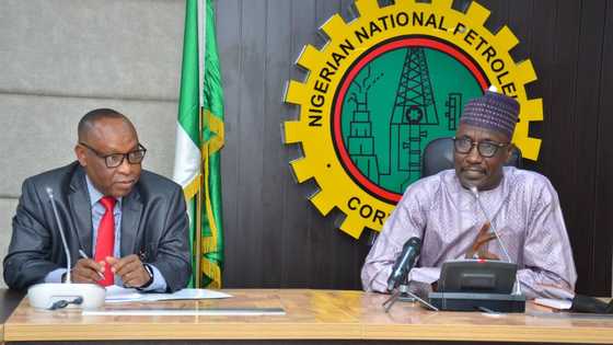 Report shows NNPC spends N100 billion on Refineries rehabilitation in 2021, yet no drop of oil was processed
