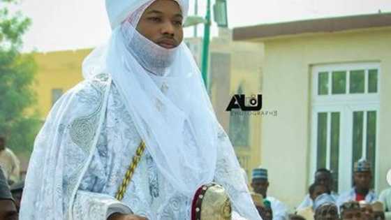 Yadda muka yi da mahaifina da na nemi sarautar gargajiya - Ashraf Sanusi Lamido