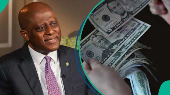 CBN explains sources of $2.33bn Into economy as currency dealers sell dollar at new rates