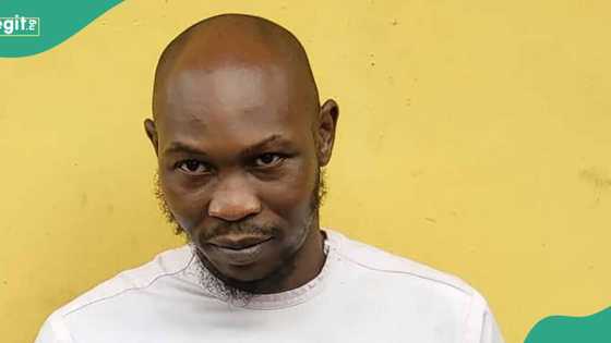 "Nigerian Police are the biggest group of kidnappers in the country": Seun Kuti asserts with details