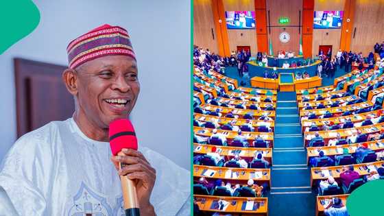 Lawmaker representing Gov Yusuf's constituency dumps APC after losing return ticket