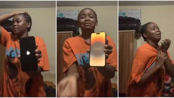 "I can't calm down": 'Garri' lady Davido gave N2m sheds tears in video as someone gifts her iPhone 14 Pro Max
