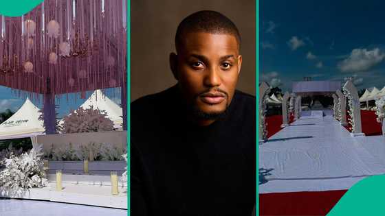 "Everything is so perfect": Nigerians react to pictures of venue for Alexx Ekubo's burial ceremony