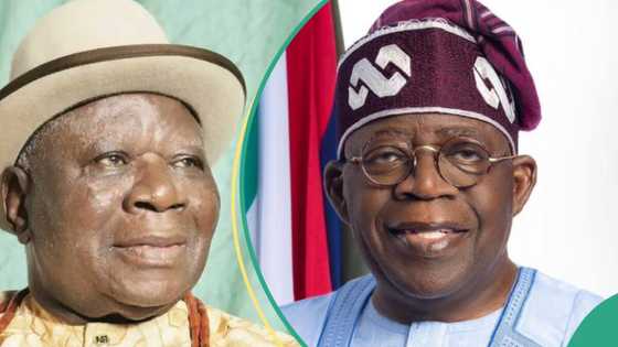 JUST in: Remove Abia, Imo, Ondo from NDDC, Clark urges Tinubu