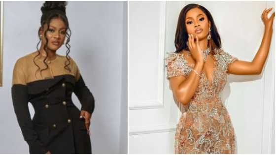"Opening legs for money is nonsense": Phyna and Bella condemn ladies who are not hard workers like them