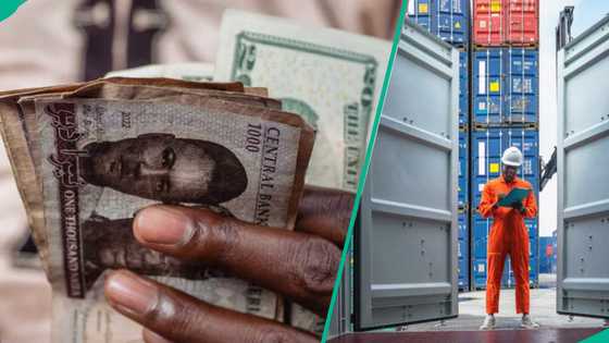 CBN announces new exchange rate to clear goods at ports as naira records massive gain