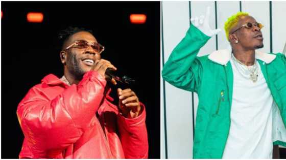 Even Ghanaians know the winner: Nigerians give verdict on music versus between Shatta Wale and Burna Boy