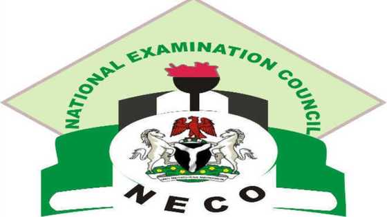 NECO result 2022: Complete guide on how to check results