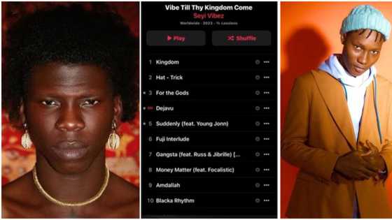 "Zino eyes don clear": Fans react as Seyi Vibez's new album spends 5-days at No.1 on chart