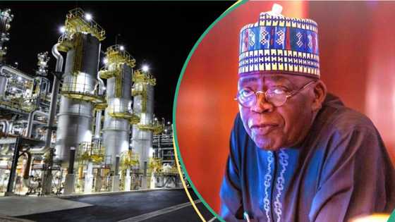 Ghana, South Africa, others oppose Nigeria's interest in $5bn African Energy Bank