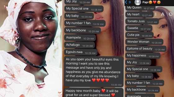 "I am dating the sweetest man on Earth": Nigerian lady leaks messages lover sent to her on WhatsApp, people react