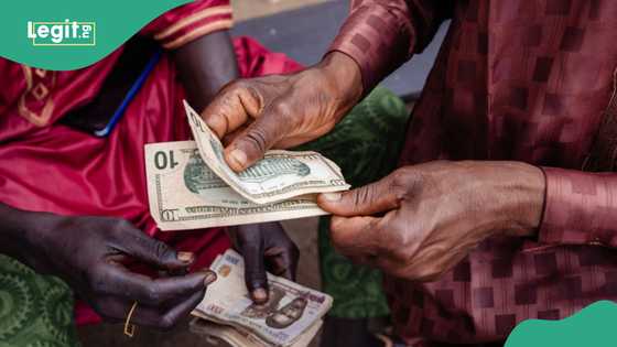 CBN updates pound, euro, other currencies exchange rates as Naira crashes against US dollar