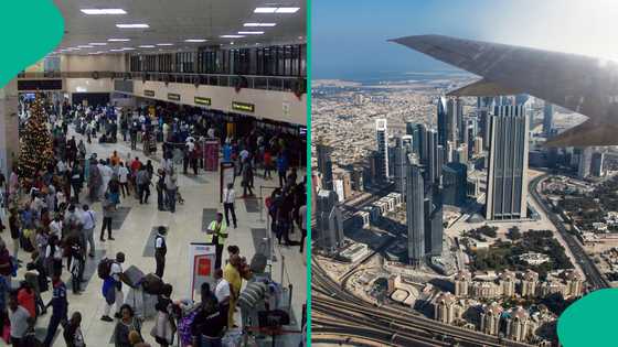 UAE’s student visa in 2026: Facts about application process, eligibility and cost released