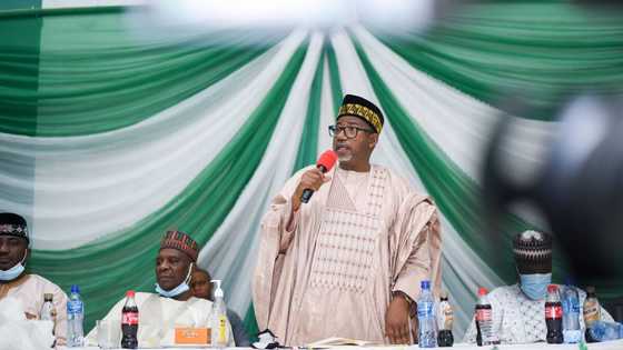 Insecurity: Nigerian governor finally opens up, says he knows where bandits live