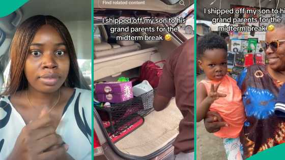 Midterm break: Mother "ships" son to grandma's place to have peace of mind, Nigerian react