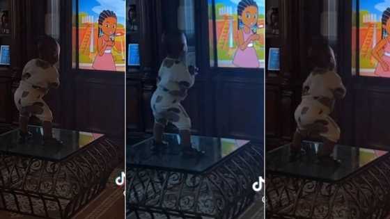 "How did he learn it?" Mum walks into sitting room to see little son shaking his hips while watching cartoon