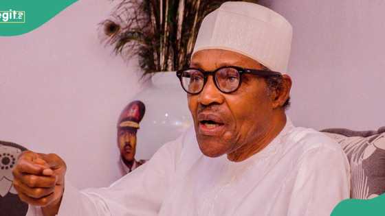 “I would have moved to Niger Republic”: Buhari speaks on daily ‘harassment’ at Daura residence