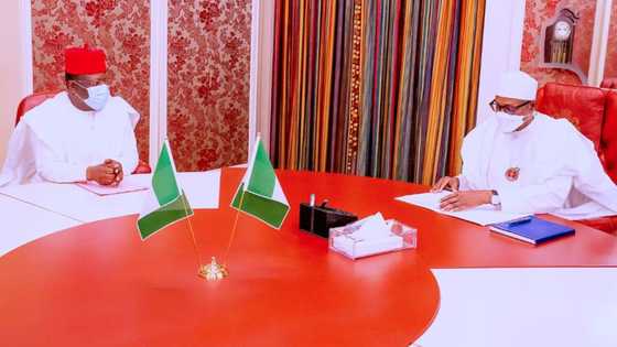 2023: How Buhari reacted to my presidential ambition - Governor Umahi shares details