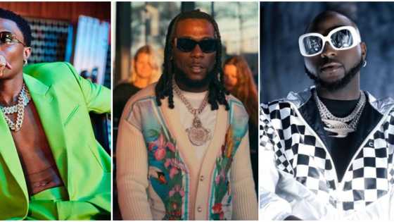 "Don't want to hear any freedom-fighting songs from you all": Fans warn Burna Boy, Wizkid, Davido, and Olamide