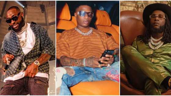 Fans pick Davido over Wizkid and Burna Boy as the Nigerian musician to hold the best concert ever
