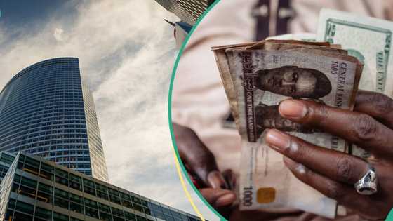 US company describes naira as best performing currency in the world, makes new prediction