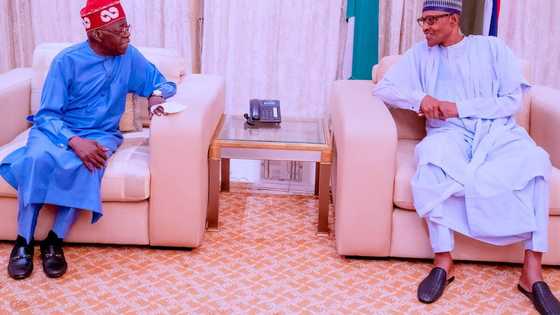 Just in: Tinubu speaks on choice of running mate after meeting Buhari