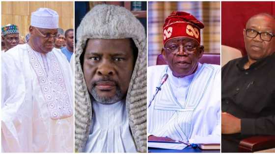 Justice Ugo: Top judge handling petitions seeking to nullify election of Tinubu resigned? Fact surfaces