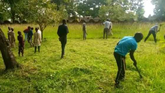 Show of love: Christians join Muslims to clear grass at Kaduna mosque