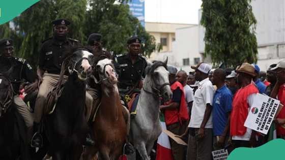 ‘Yan bindiga sun kutsa cikin fada sun harbe Sarki, an yi awon gaba da mai dakinsa