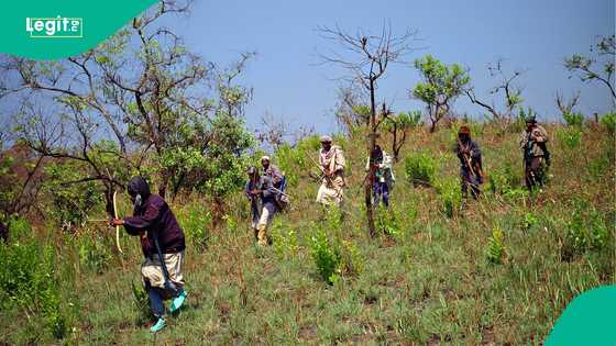 South-West kidnapping: The blind spots no one is tracking