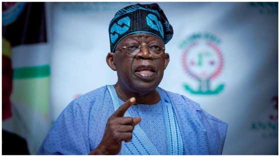 2023: I’ve it all, Tinubu woos APC delegates in Katsina, boasts of track records