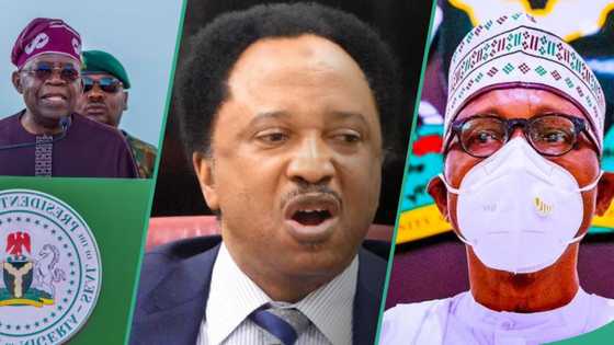 “You funded us”: Shehu Sani asks Tinubu to free protesters detained under Buhari