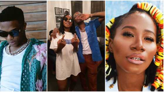 Fire don finally catch the mountain: Excitement as Asa announces Wizkid will feature on her new album