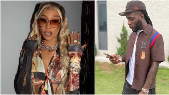 Burna Boy's Aide Releases Screenshot of US Rapper Bia's Comment Under Singer's 2018 Post