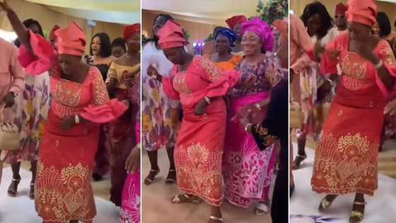 "Mummy is a stepper": Groom's mother scatters dance during son's wedding, video causes frenzy