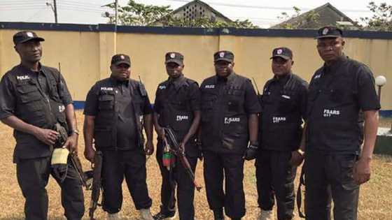 Yanzun-nan: Babbar zanga-zangar neman a dawo da rundunar SARS ta ɓarke a Maiduguri