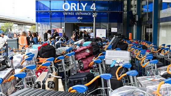 Paris airport pandemonium as bag handler breaks