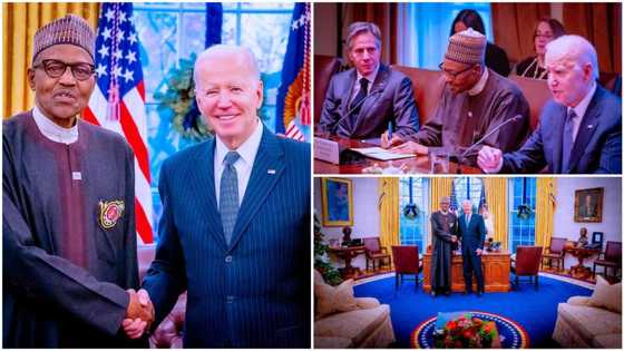 Just in: Photos emerge as President Buhari meets Biden at White House