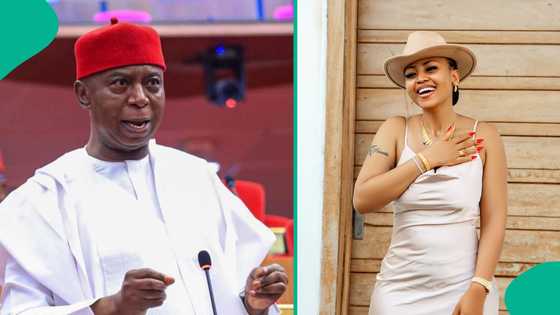 Ned Nwoko assures concerned Nigerians on TV amid his marital tension with Regina Daniels