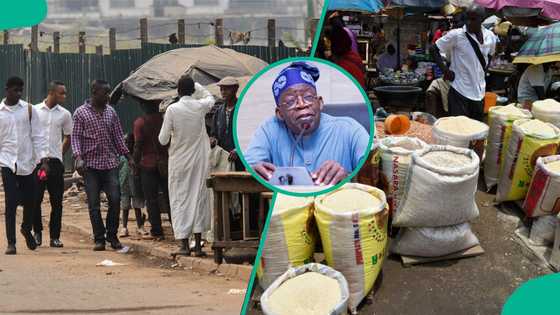 CBN survey discloses key issues Nigerian businesses face, most affected regions