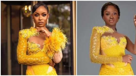 BBNaija fans decide who rocked yellow dress better between Saskay and Bella: "They both look amazing"